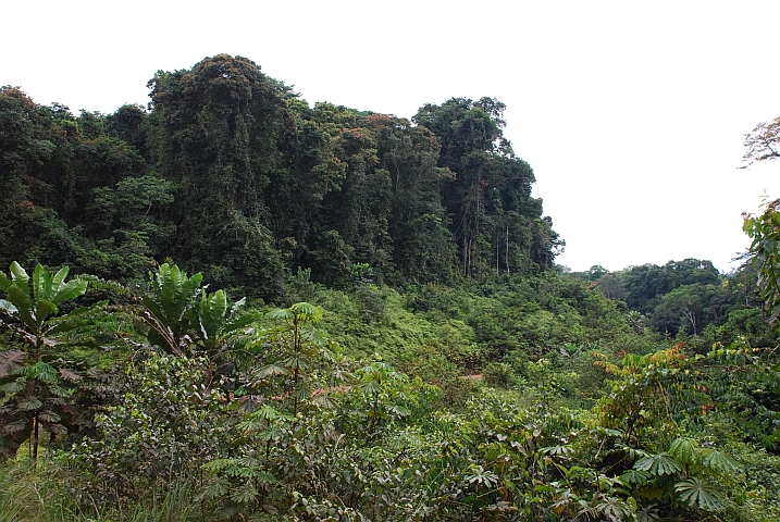 Zwischen Lopé und Lastoursville