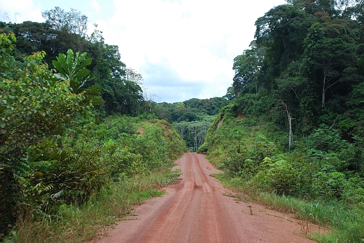 Zwischen Lopé und Lastoursville
