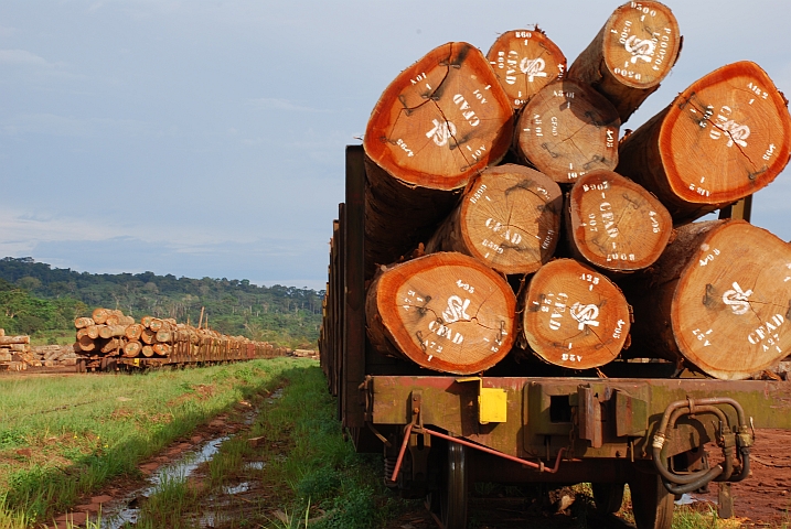 Verladene Okoumé-Stämme in Lastoursville bereit für den Transport mit der “Transgabonais“ an die Küste