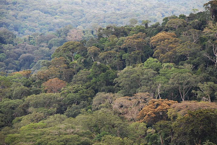 Zwischen Lastoursville und Moanda