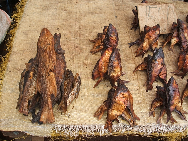 Geräuchte Fische aus dem Ogooué-Fluss auf dem Markt in Lambaréné