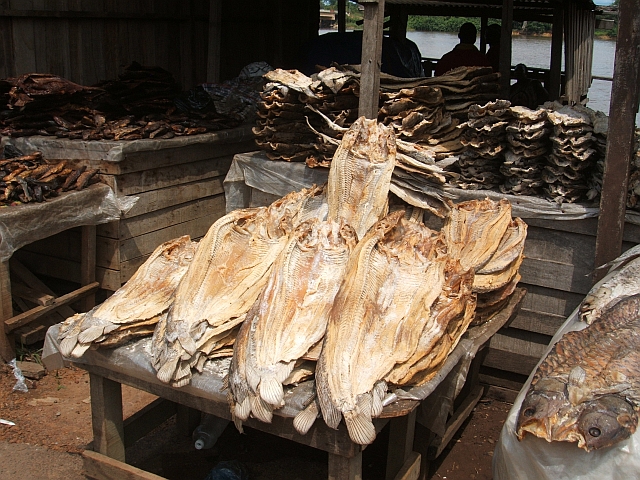 Getrocknete Fische aus dem Ogooué-Fluss auf dem Markt in Lambaréné