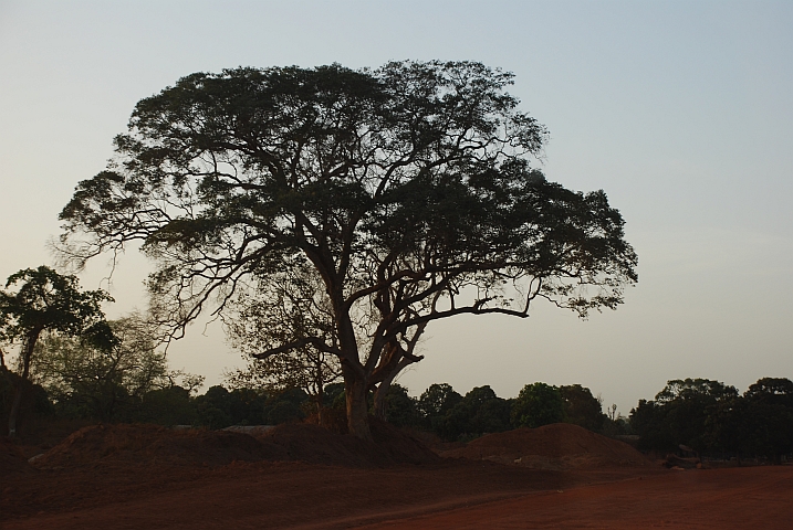 Abendstimmung an der Piste nach Banjul
