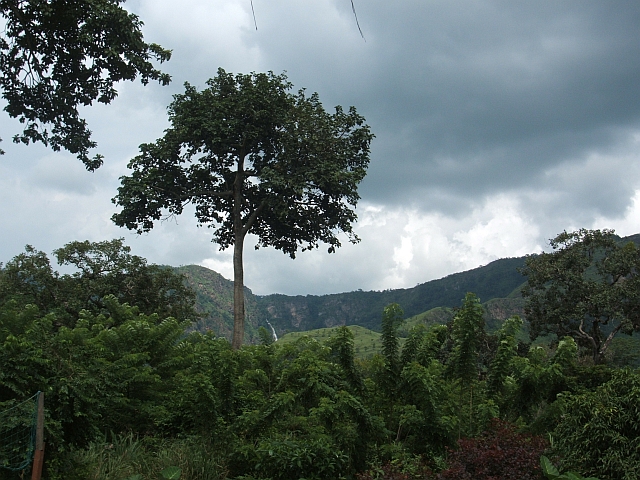 Aussicht von der Wli Waterfall Lodge