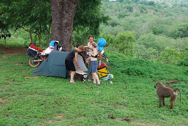Pavian in Lauerstellung, der hat’s auf’s Mittagessen von Anne und Reinier abgesehen