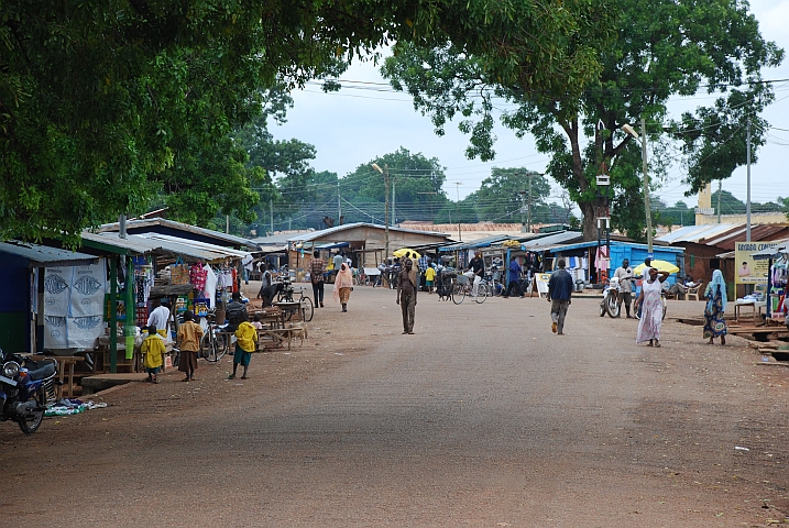 Damongo auf dem Weg nach Tamale