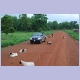“Ziegenslalom“ auf der Piste zwischen Damongo und Busunu