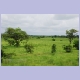 Savannenlandschaft zwischen Tamale und Salaga
