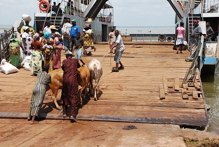 Menschen und Tiere dürfen zuerst auf die Fähre