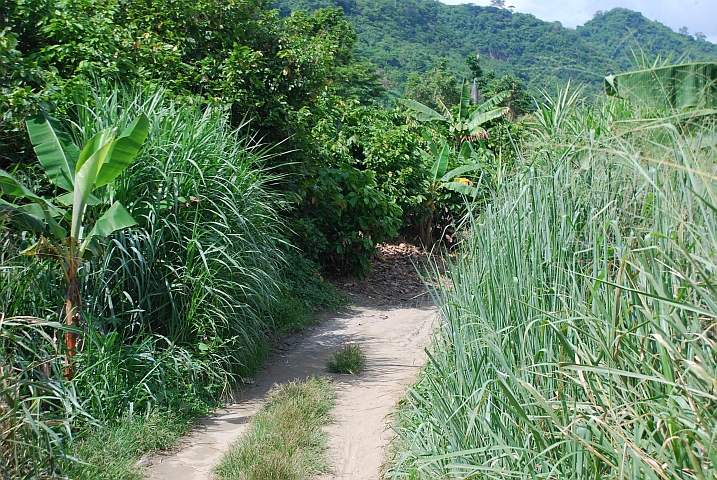 Schmaler Fahrweg zum Lake Point Guesthouse