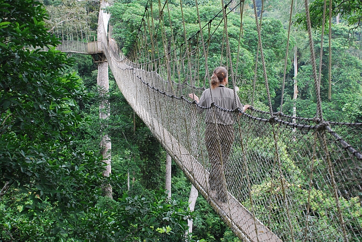 Isabella auf einer Hängebrücke im Kakum Nationalpark