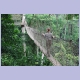 Isabella auf einer Hängebrücke im Kakum Nationalpark