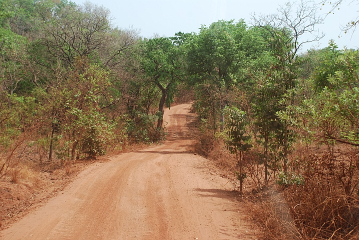 Piste zwischen Koundara und Labé