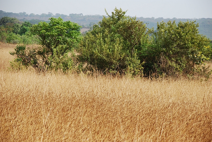 In der Nähe von Labé
