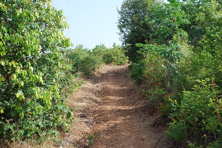 “Zufahrt“ zu den Chutes de Kambadaga