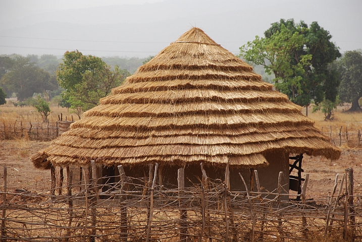 Frisch gedeckte Rundhütte in Oberguinea
