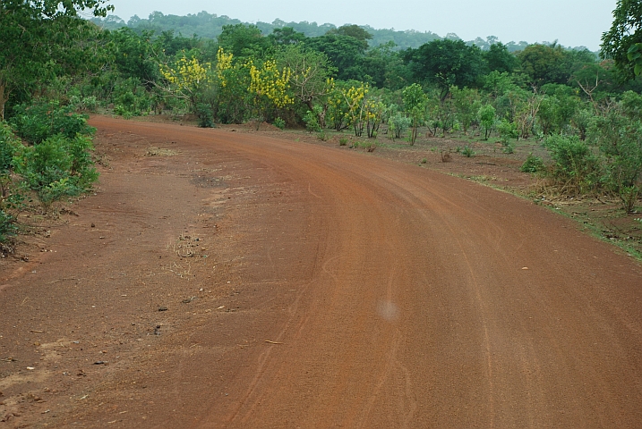 Gute Piste von Kouroussa nach Niandankoro