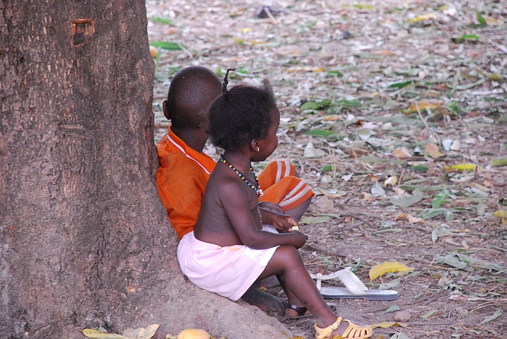Zwei kleine Kinder sitzen unter einem Mangobaum