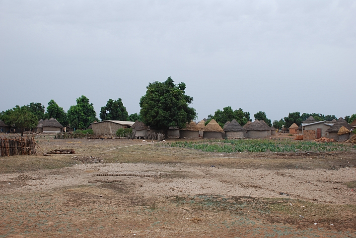 Niandankoro am Niger