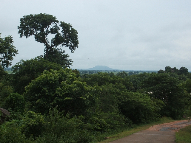Aussicht in die Ebene des Benoué-Flusses