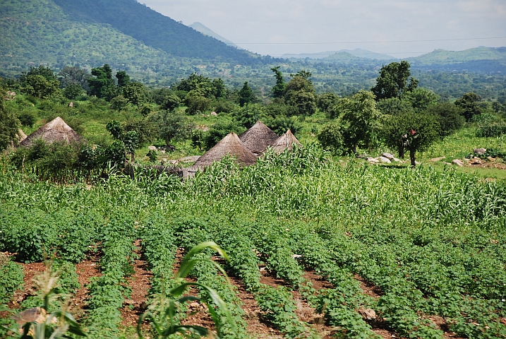 Landwirtschaft mit Baumwolle und Hirse