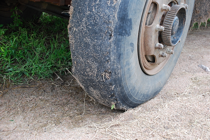 Profil? Was für ein Profil?