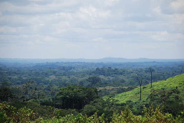 Landschaft zwischen Garoua-Boulaï und Bertoua