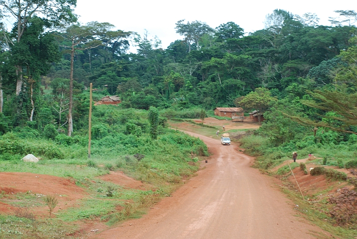 Urwaldpiste zwischen Bertoua und Doumé