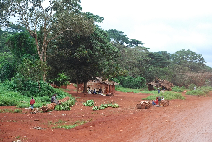 Ein Dorf kurz nach Doumé an der Piste von Bertoua nach Abong Mbang