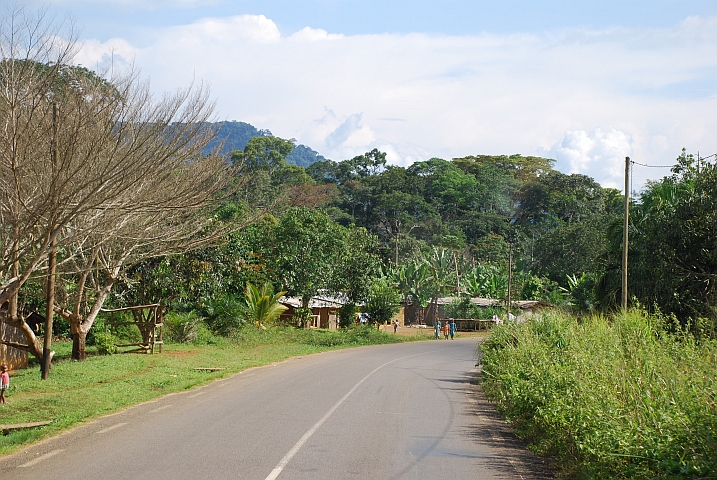 Kurz nach Ebolowa auf dem Weg nach Ambam