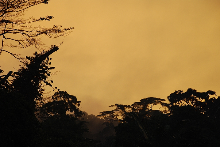 Feuchte Abendstimmung im Grenzort Ambang-Minko’o