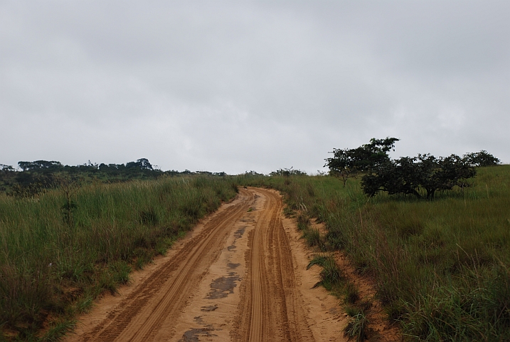 Sandpiste im Grenzgebiet Gabun/Kongo 
