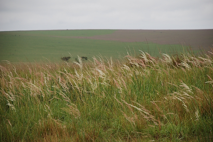 Im Grenzgebiet Gabun/Kongo