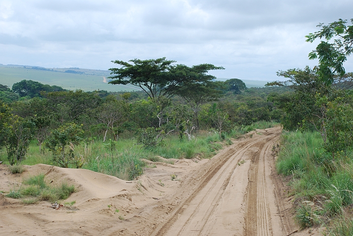 Piste kurz vor Mbié, dem kongolesischen Grenzposten