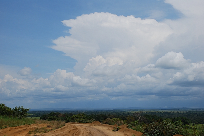 Landschaft mit Sandpiste zwischen Mbié und Lékéti