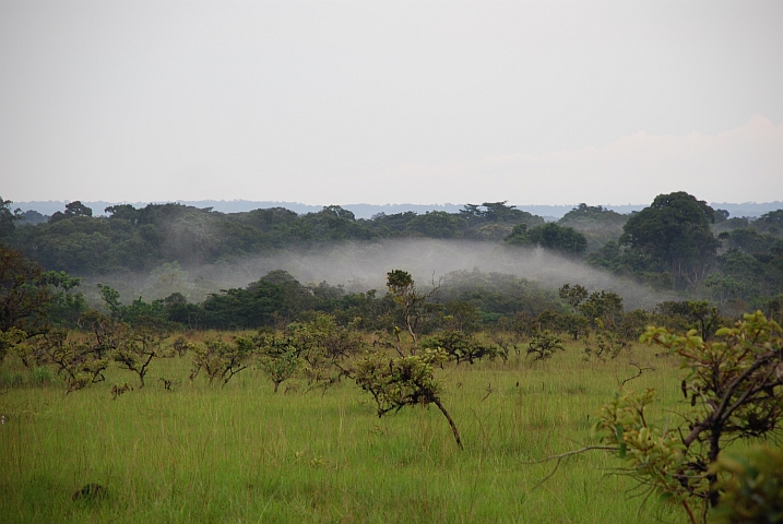 Lokaler Bodennebel zwischen Okoyo und Boundji