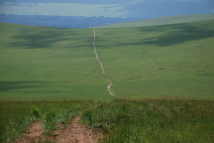 Sandpiste zum Abio-Camp im Léfini-Reservat
