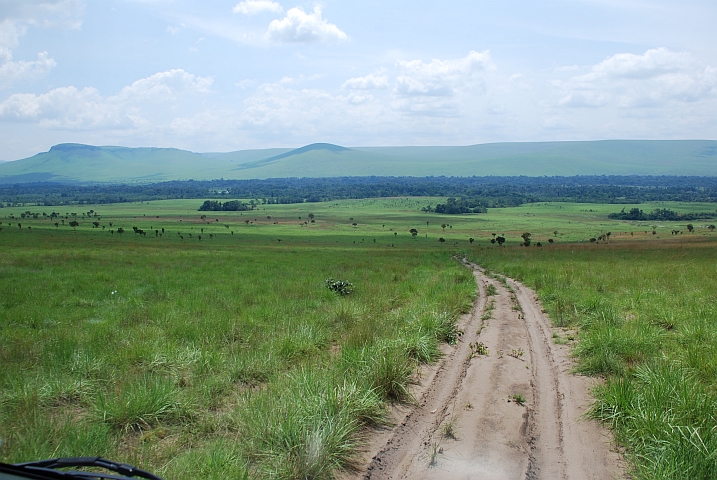 Sandpiste im Léfini-Reservat