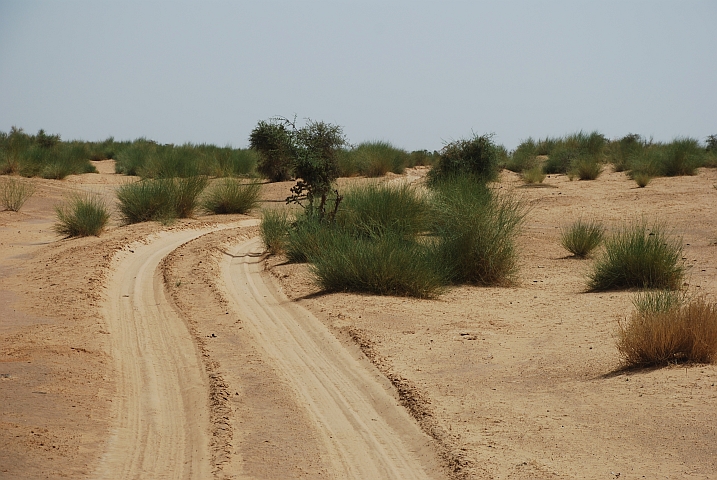 Fahrspur durch die Dünen im Niger-Binnendelta