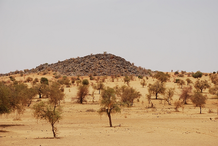 Zwischen Tombouctou und Douentza