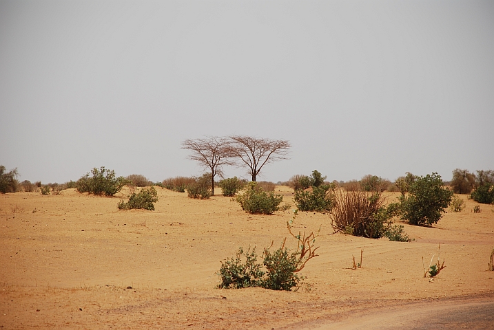 Zwischen Tombouctou und Douentza
