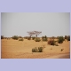 Zwischen Tombouctou und Douentza