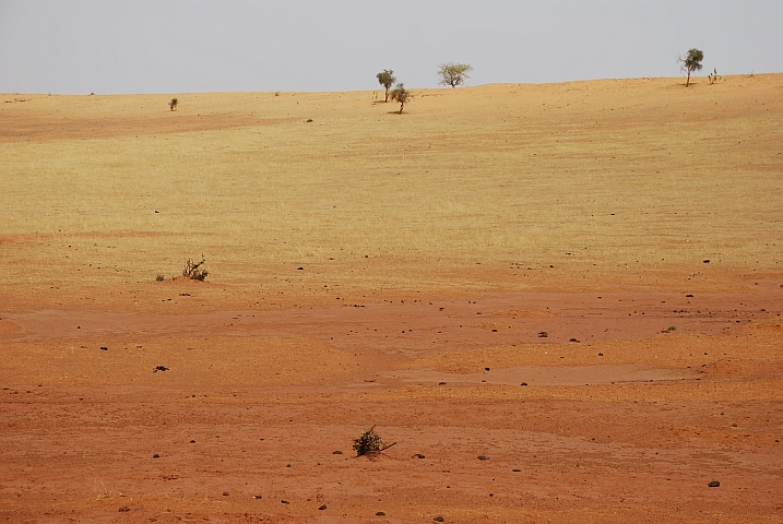 Zwischen Tombouctou und Douentza