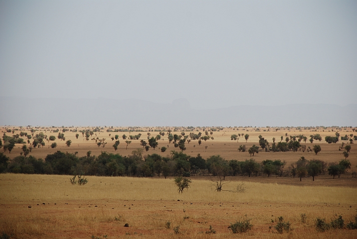 Zwischen Tombouctou und Douentza, im Hintergrund schemenhaft das Gandamia-Massiv