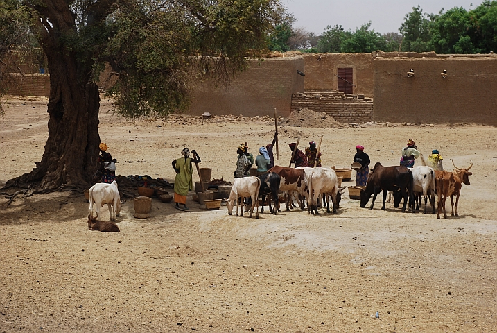 Dörfliche Szene zwischen Douentza und Hombori