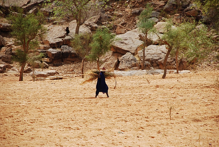 Peul-Hirte bei Kani-Kombolé