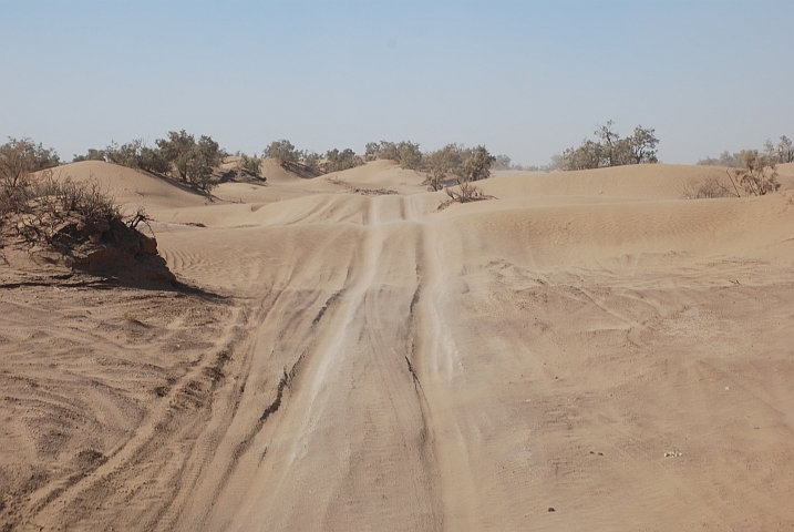 Kleine Sicheldünen auf dem Weg von Mhamid nach Foum-Zguid machen Obelix Spass