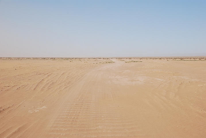 Das Wellblech zeigt den Weg nach Foum-Zguid...