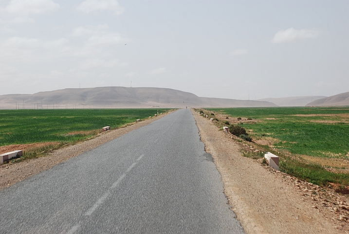 Grosse Felder mitten in der Wüste zwischen Guelmin und Tan-Tan