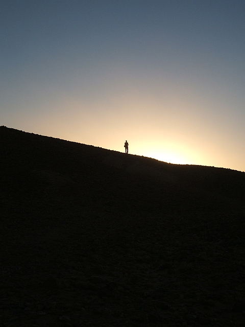 Abendstimmung in der Wüste